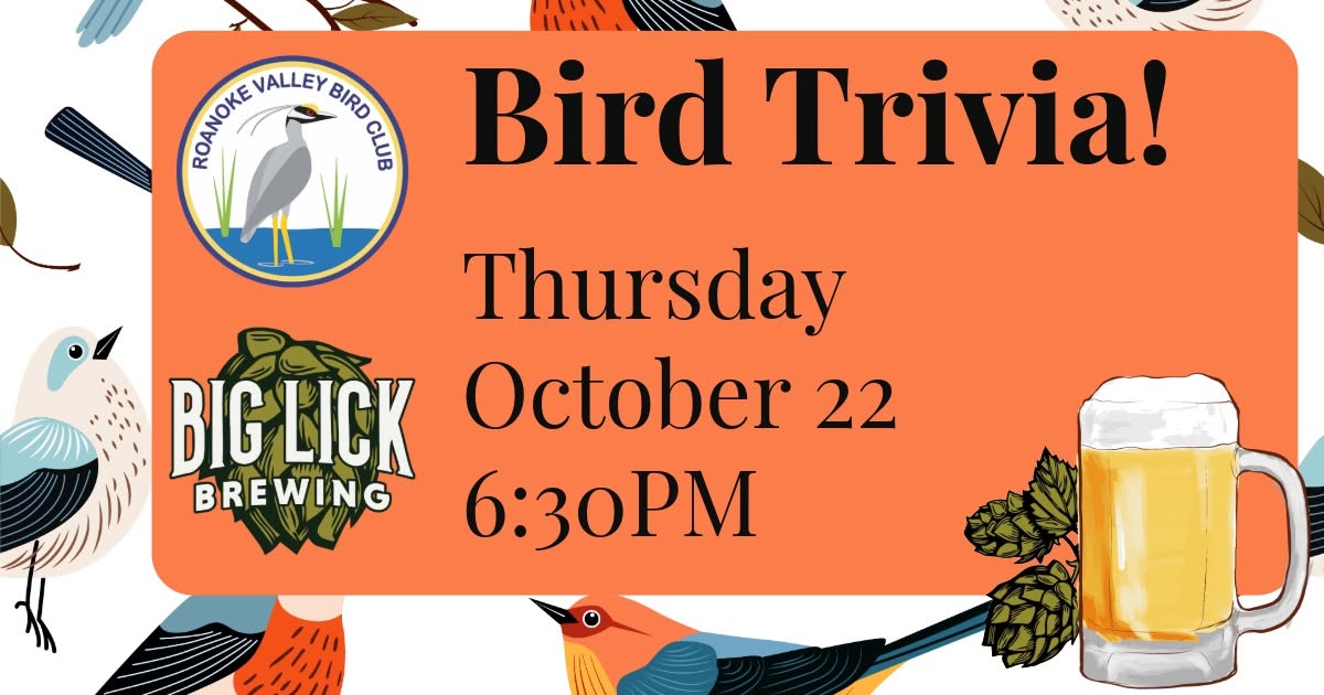 Bird Trivia at Big Lick